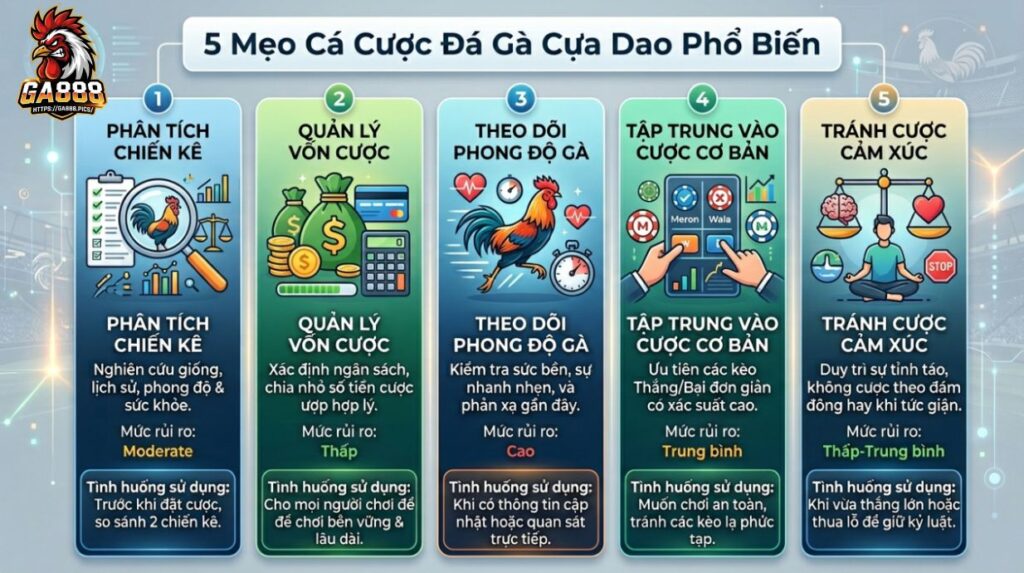 5 Mẹo Cá Cược Đá Gà Cựa Dao Phổ Biến