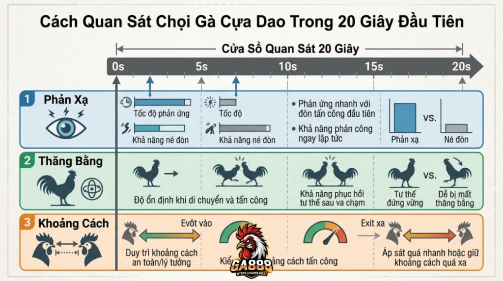 Cách Đọc Trận Đá Cựa Dao Trong 20 Giây Đầu