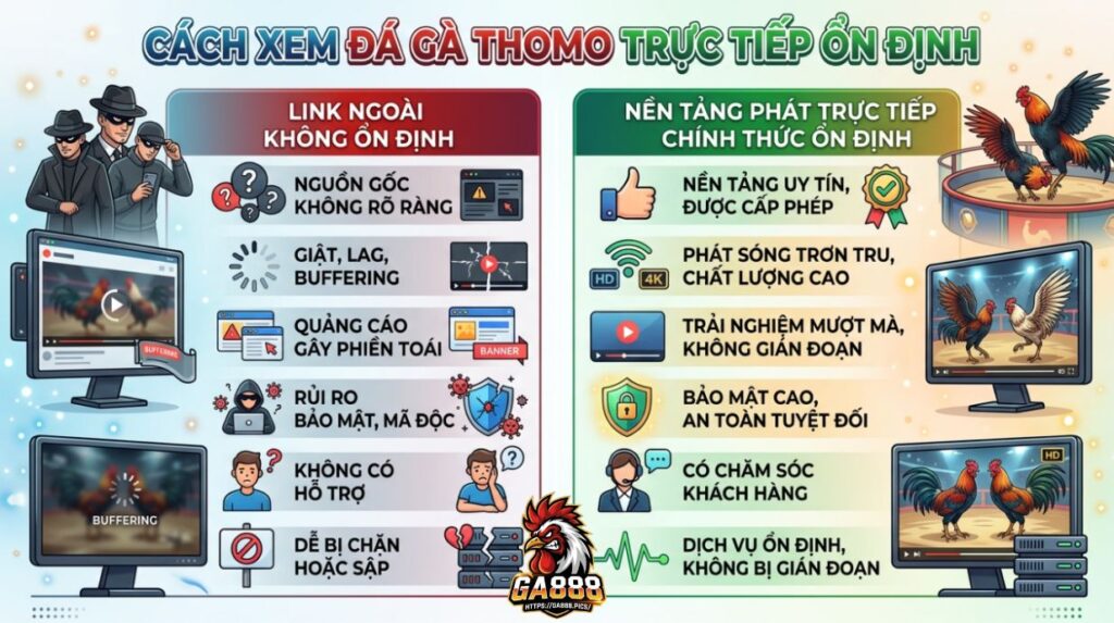 Cách Xem Đá Gà Thomo Trực Tiếp Ổn Định