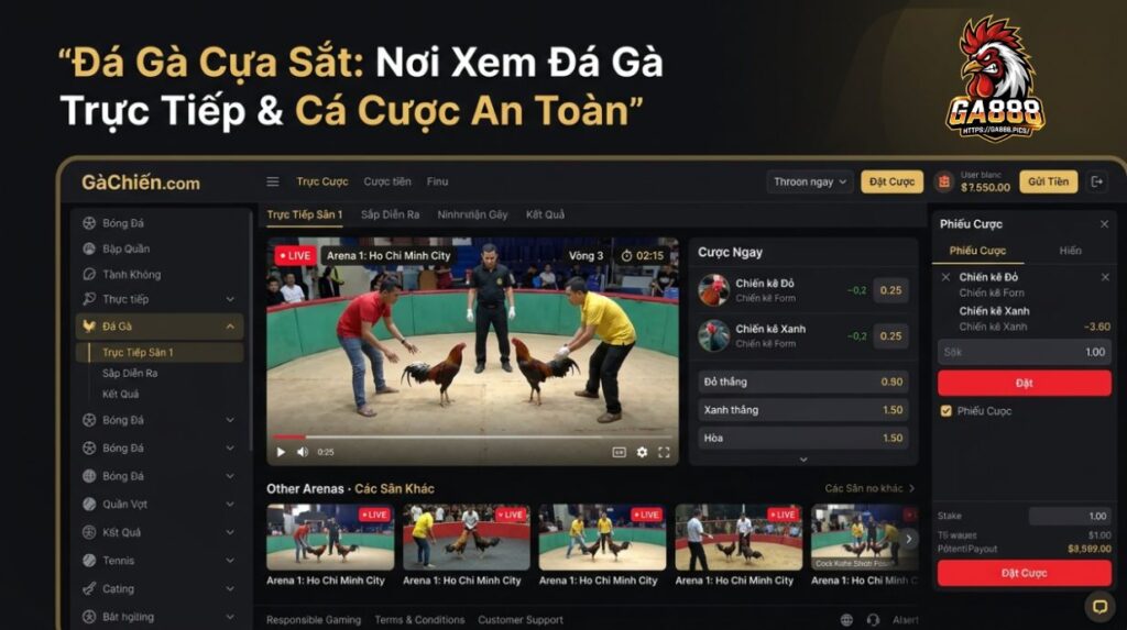 Đá Gà Cựa Sắt trực tiếp: Nơi Xem Trận Đấu Và Cược Trực Tuyến An Toàn
