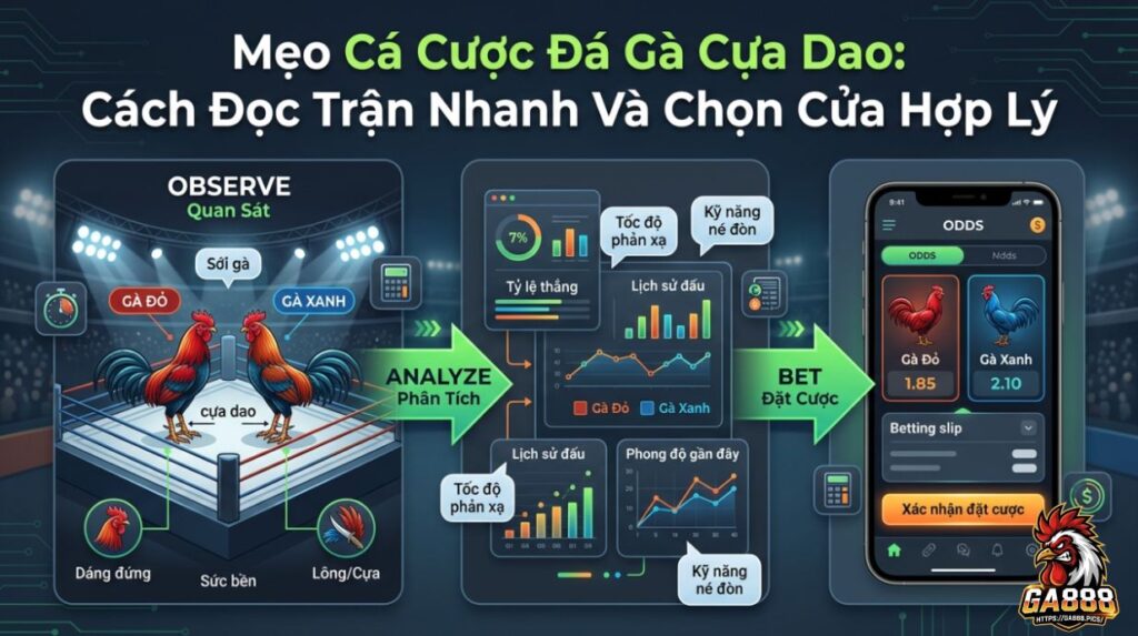 Mẹo Cá Cược Đá Gà Cựa Dao: Cách Đọc Trận Nhanh Và Chọn Cửa Hợp Lý