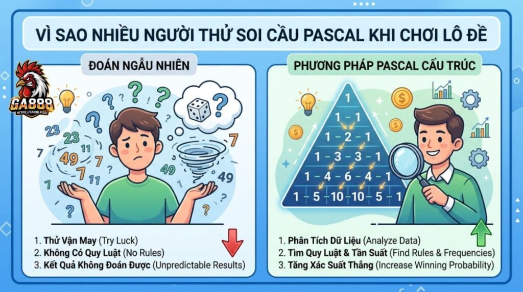 Vì Sao Nhiều Người Thử Soi Cầu Pascal Khi Chơi Lô Đề
