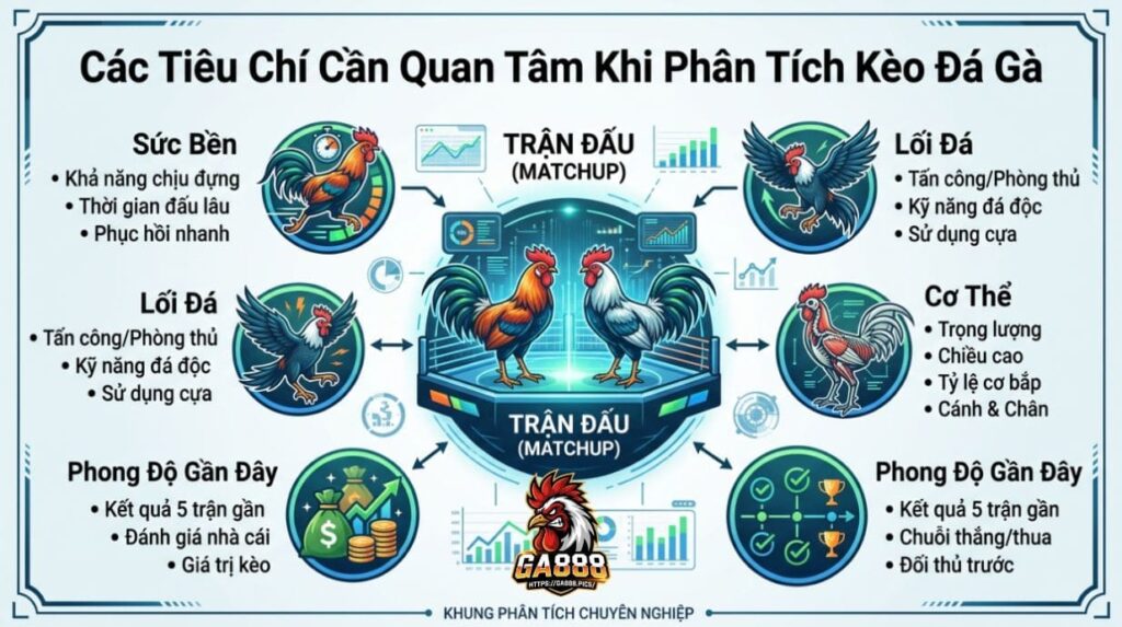 Các Tiêu Chí Cần Quan Tâm Khi Phân Tích Kèo Đá Gà
