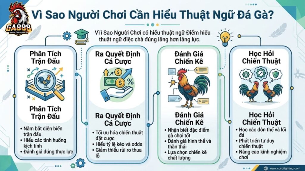 Vì Sao Người Chơi Cần Hiểu Thuật Ngữ Đá Gà?